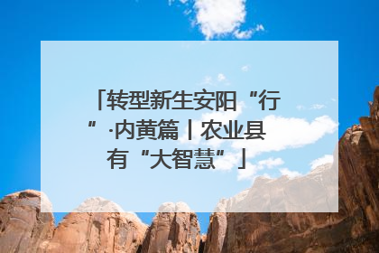 转型新生安阳“行”·内黄篇丨农业县有“大智慧”