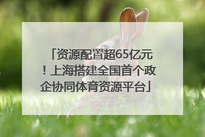 资源配置超65亿元！上海搭建全国首个政企协同体育资源平台