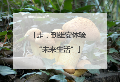 走，到雄安体验“未来生活”