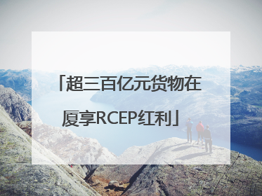 超三百亿元货物在厦享RCEP红利