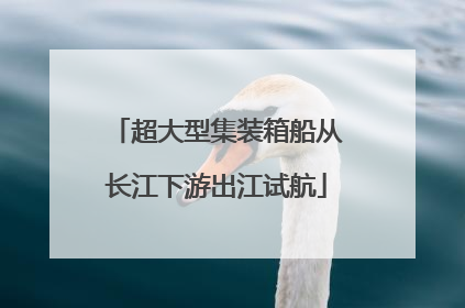 超大型集装箱船从长江下游出江试航