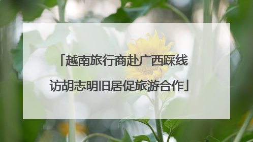 越南旅行商赴广西踩线 访胡志明旧居促旅游合作