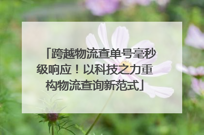 跨越物流查单号毫秒级响应！以科技之力重构物流查询新范式