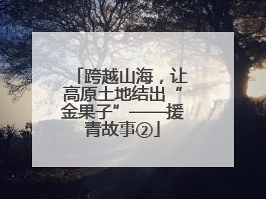 跨越山海，让高原土地结出“金果子”——援青故事②