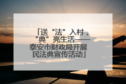 送“法”入村，“典”亮生活——泰安市财政局开展民法典宣传活动