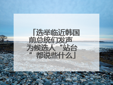 选举临近韩国前总统们发声 为候选人“站台”都说些什么