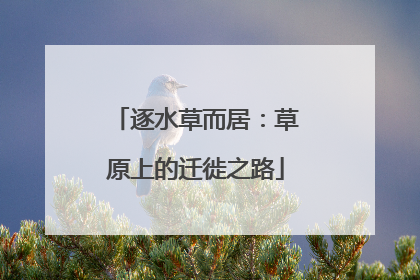 逐水草而居：草原上的迁徙之路