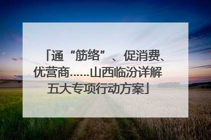 通“筋络”、促消费、优营商……山西临汾详解五大专项行动方案
