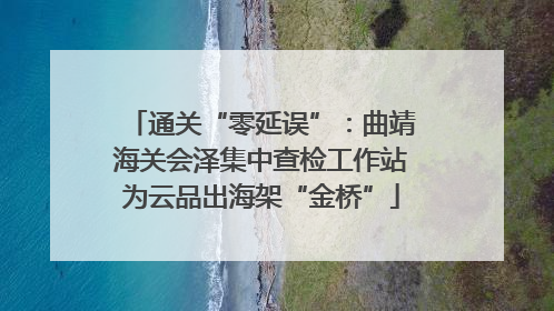 通关“零延误”：曲靖海关会泽集中查检工作站为云品出海架“金桥”
