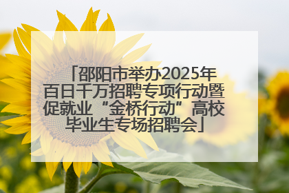 邵阳市举办2025年百日千万招聘专项行动暨促就业“金桥行动”高校毕业生专场招聘会