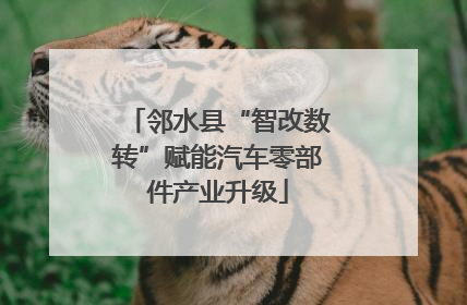 邻水县“智改数转”赋能汽车零部件产业升级