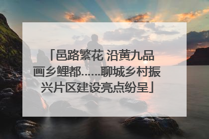邑路繁花 沿黄九品 画乡鲤都……聊城乡村振兴片区建设亮点纷呈