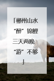 郴州山水“醉”锦鲤 三天两晚“游”不够
