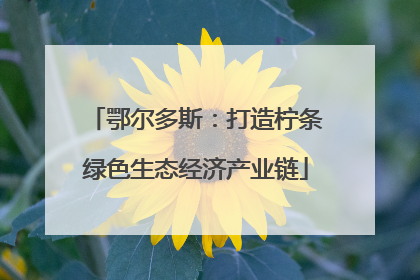 鄂尔多斯：打造柠条绿色生态经济产业链