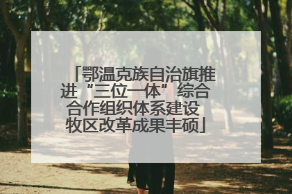 鄂温克族自治旗推进“三位一体”综合合作组织体系建设 牧区改革成果丰硕