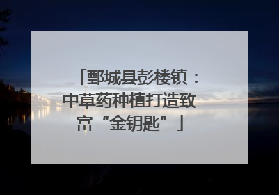 鄄城县彭楼镇：中草药种植打造致富“金钥匙”