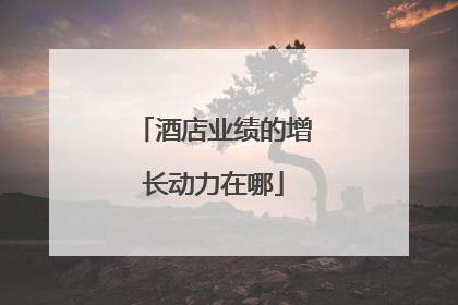 酒店业绩的增长动力在哪