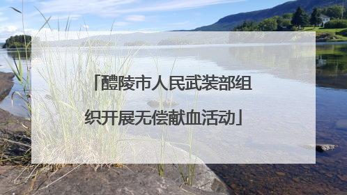 醴陵市人民武装部组织开展无偿献血活动