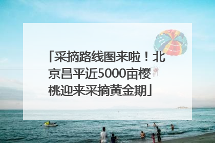 采摘路线图来啦！北京昌平近5000亩樱桃迎来采摘黄金期