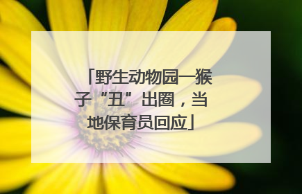 野生动物园一猴子“丑”出圈，当地保育员回应