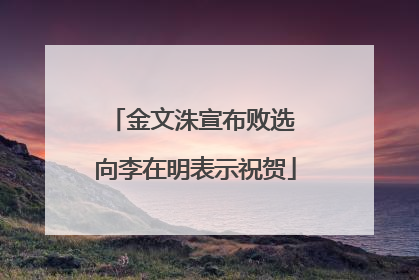 金文洙宣布败选 向李在明表示祝贺