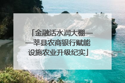金融活水润大棚——莘县农商银行赋能设施农业升级纪实