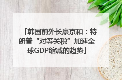 韩国前外长康京和：特朗普“对等关税”加速全球GDP缩减的趋势