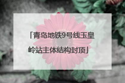 青岛地铁9号线玉皇岭站主体结构封顶