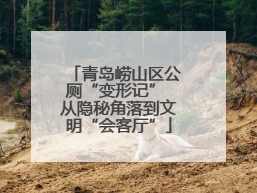 青岛崂山区公厕“变形记” 从隐秘角落到文明“会客厅”