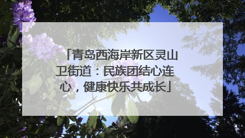 青岛西海岸新区灵山卫街道：民族团结心连心，健康快乐共成长