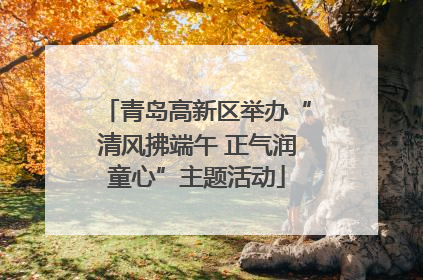 青岛高新区举办“清风拂端午 正气润童心”主题活动