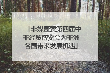 非媒盛赞第四届中非经贸博览会为非洲各国带来发展机遇