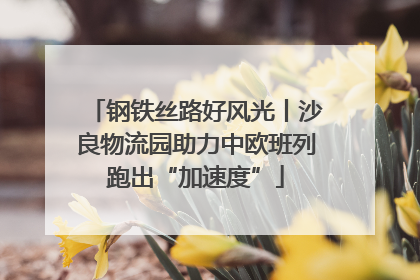 钢铁丝路好风光丨沙良物流园助力中欧班列跑出“加速度”