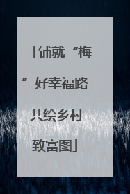 铺就“梅”好幸福路 共绘乡村致富图
