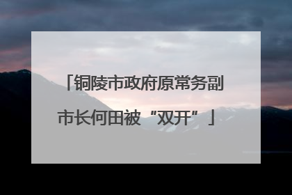 铜陵市政府原常务副市长何田被“双开”