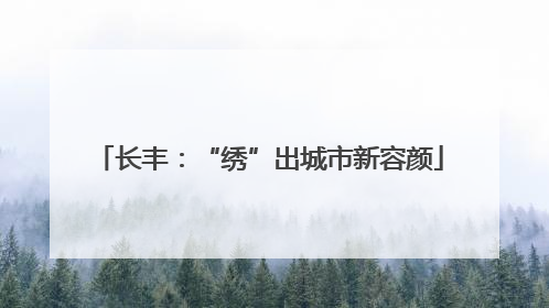 长丰：“绣”出城市新容颜