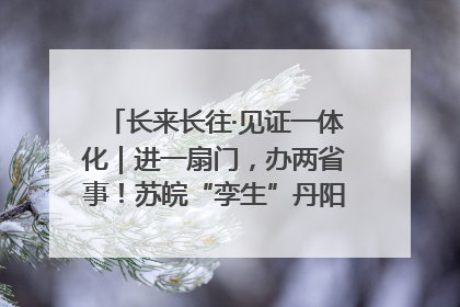 长来长往·见证一体化｜进一扇门，办两省事！苏皖“孪生”丹阳如何做到的？
