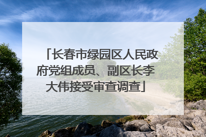 长春市绿园区人民政府党组成员、副区长李大伟接受审查调查