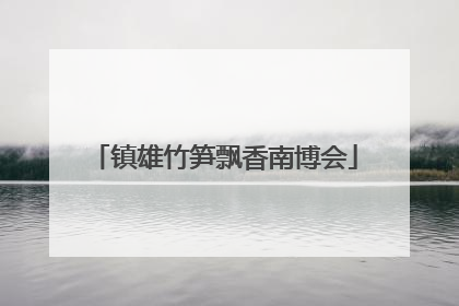 镇雄竹笋飘香南博会