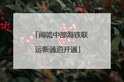 闽赣中部海铁联运新通道开通