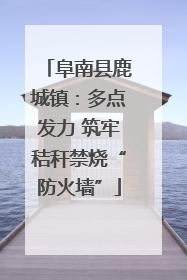 阜南县鹿城镇：多点发力 筑牢秸秆禁烧“防火墙”