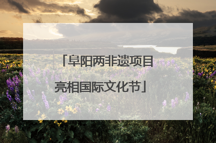阜阳两非遗项目亮相国际文化节