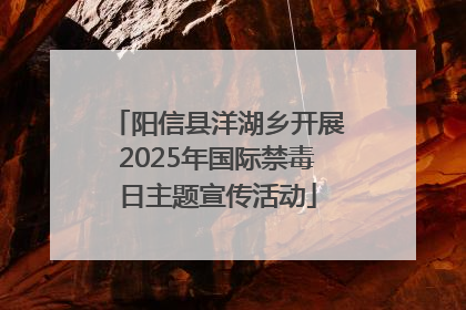 阳信县洋湖乡开展2025年国际禁毒日主题宣传活动