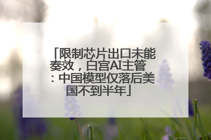 限制芯片出口未能奏效，白宫AI主管：中国模型仅落后美国不到半年