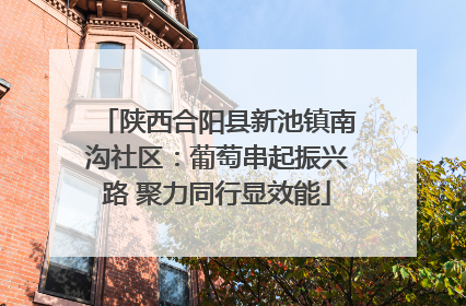 陕西合阳县新池镇南沟社区：葡萄串起振兴路 聚力同行显效能