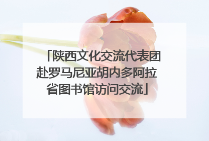 陕西文化交流代表团赴罗马尼亚胡内多阿拉省图书馆访问交流