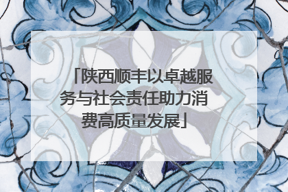 陕西顺丰以卓越服务与社会责任助力消费高质量发展