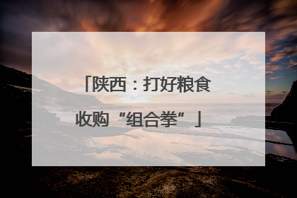 陕西：打好粮食收购“组合拳”