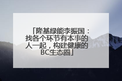 隆基绿能李振国：找各个环节有本事的人一起，构建健康的BC生态圈