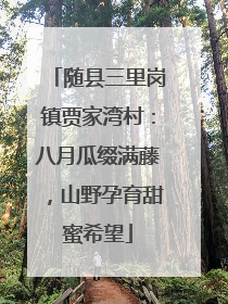 随县三里岗镇贾家湾村：八月瓜缀满藤，山野孕育甜蜜希望